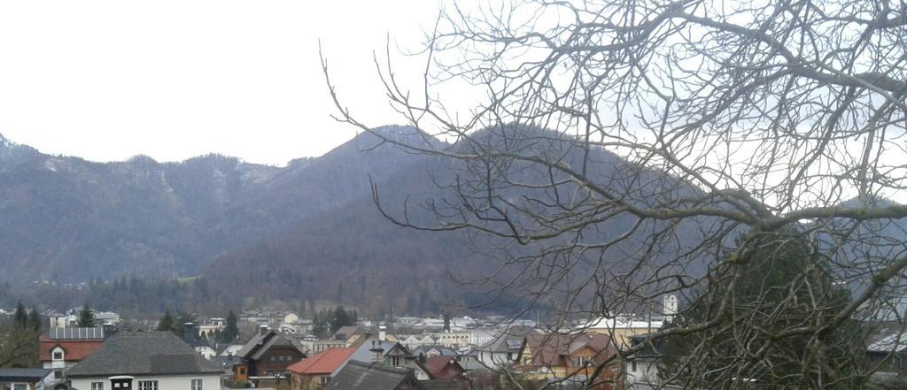 Liuis Bad Ischl